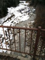 IMG_20170305_113742