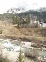 IMG_20170305_121203